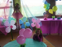 /album/fiestas-de-15/a21-jpg/